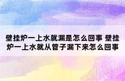 壁挂炉一上水就漏是怎么回事 壁挂炉一上水就从管子漏下来怎么回事